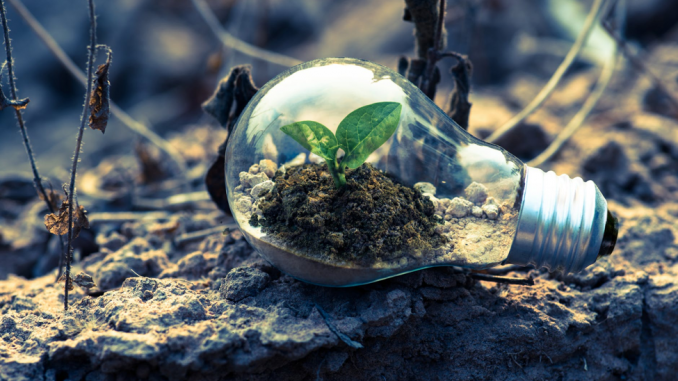 Light Bulb with Earth Inside